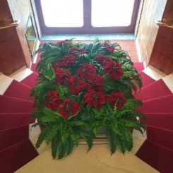 passatoia articolo 918 rosso sagomata per scala condominio via ravizza milano (5)